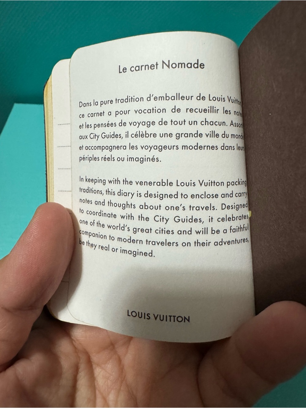 Louis Vuitton Brown Monogram Passport Cover with Blue-Cream Statue Motif - Picture 11 of 11